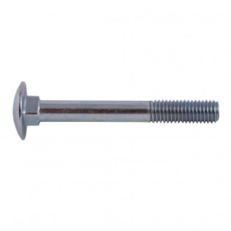 Coach Bolt M10 with Nut 