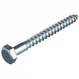 Coach Screw M10 with Hex Head 