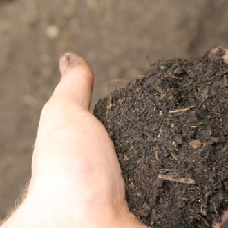 Green Waste Fines 
